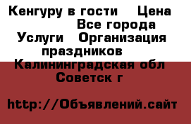 Кенгуру в гости! › Цена ­ 12 000 - Все города Услуги » Организация праздников   . Калининградская обл.,Советск г.